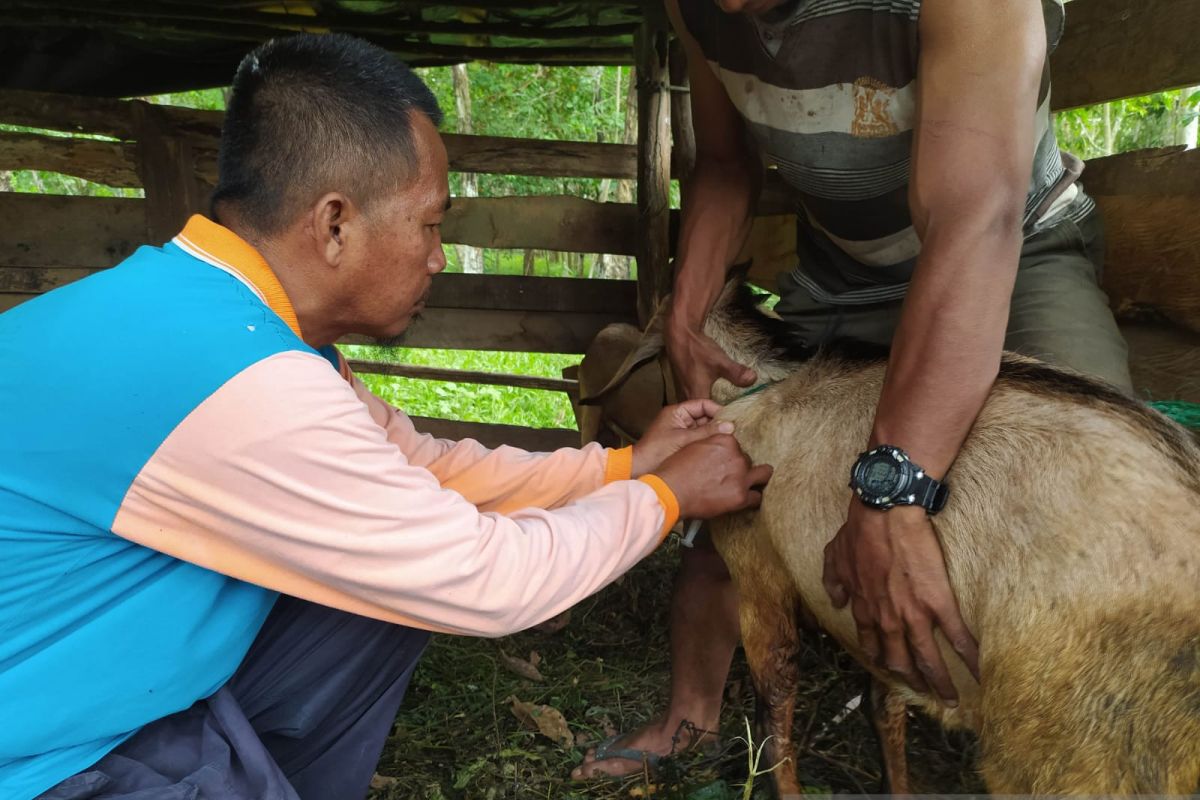 Focusing on animals that have not yet recovered: FMD task force