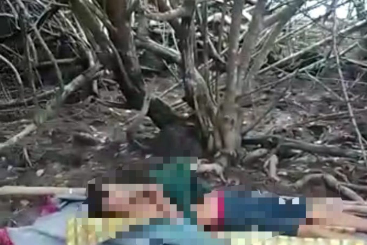 Penebang liar asal Meranti tewas diterkam harimau di Siak