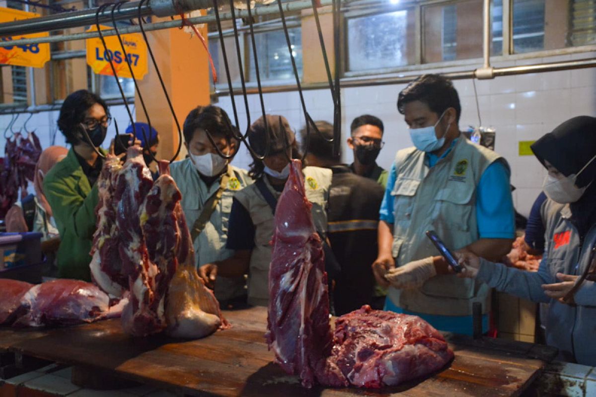Dinas Pertanian Yogyakarta imbau masyarakat tidak tergiur daging murah
