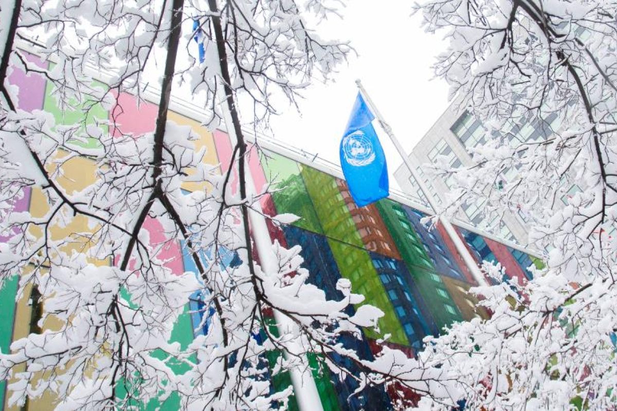 Kerangka kerja keanekaragaman hayati Kunming-Montreal disetujui COP15
