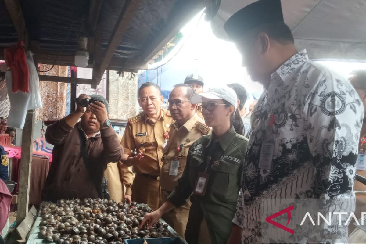 Pemkot Jambi sidak pasar pastikan harga pangan stabil jelang natal