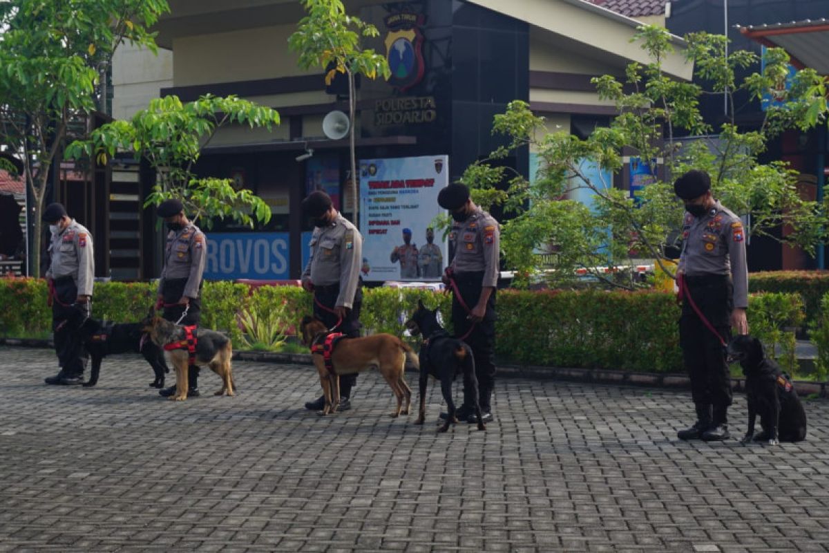 Polresta Sidoarjo siagakan anjing pelacak saat Natal dan Tahun Baru