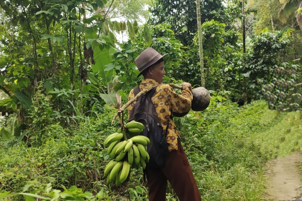 Ikhtiar petani pinggir kota jaga kelestarian hutan Lampung