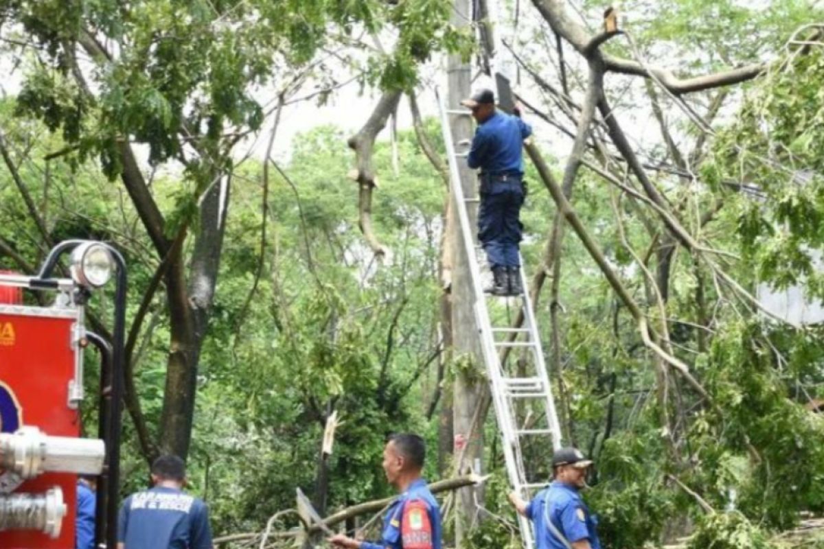 BPBD Karawang: Seratusan rumah rusak dan 14 pohon tumbang akibat angin puting beliung