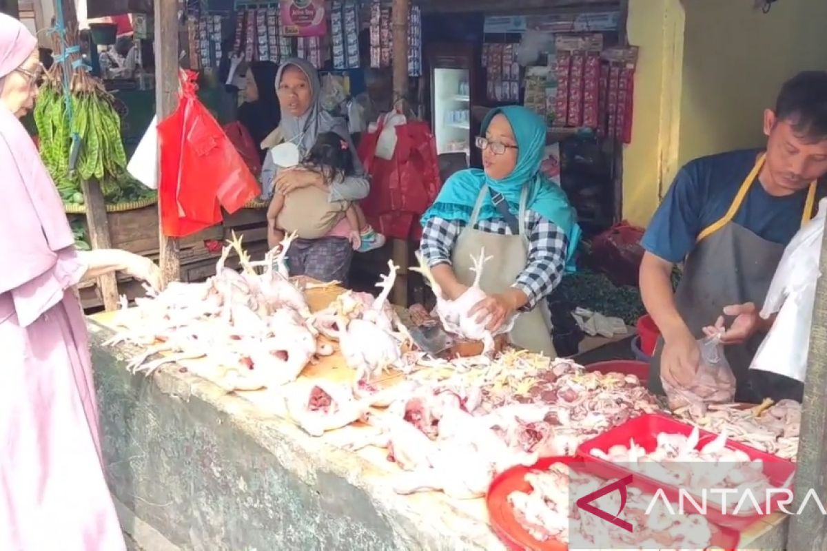 Harga daging ayam di Pasar Kramat Jati alami kenaikan jelang Natal
