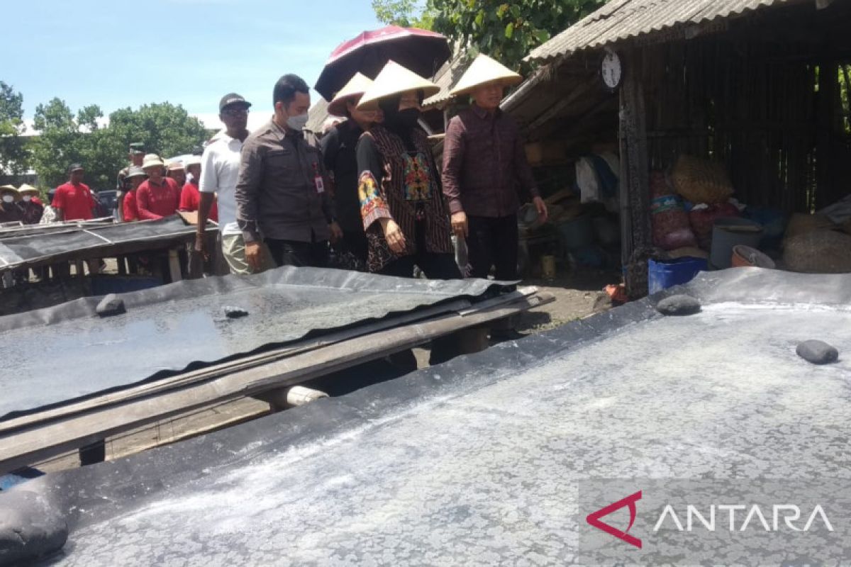 Mensos tinjau tempat pengolahan garam di Kusamba, Bali