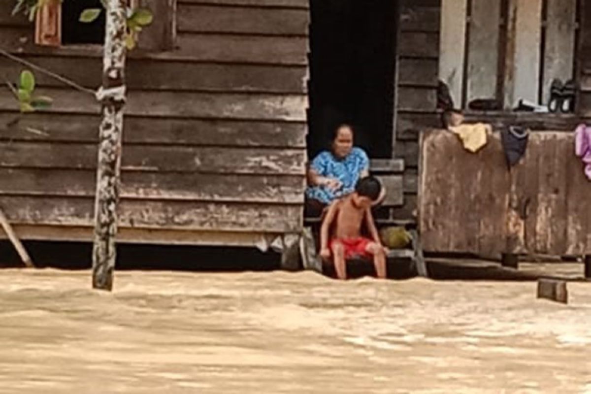 BPBD: 116 keluarga mengungsi akibat banjir di Aceh Timur