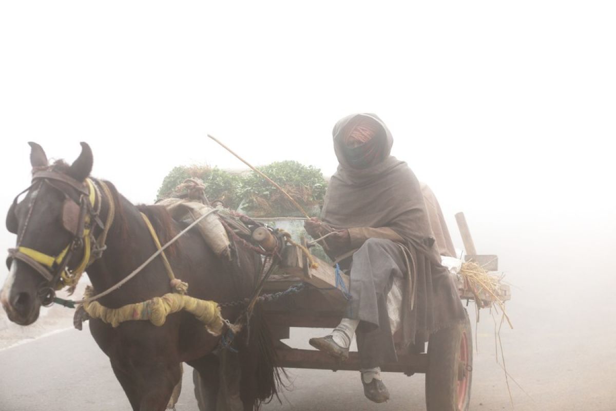 Kabut tebal selimuti Delhi sekitarnya sebabkan gangguan lalu lintas
