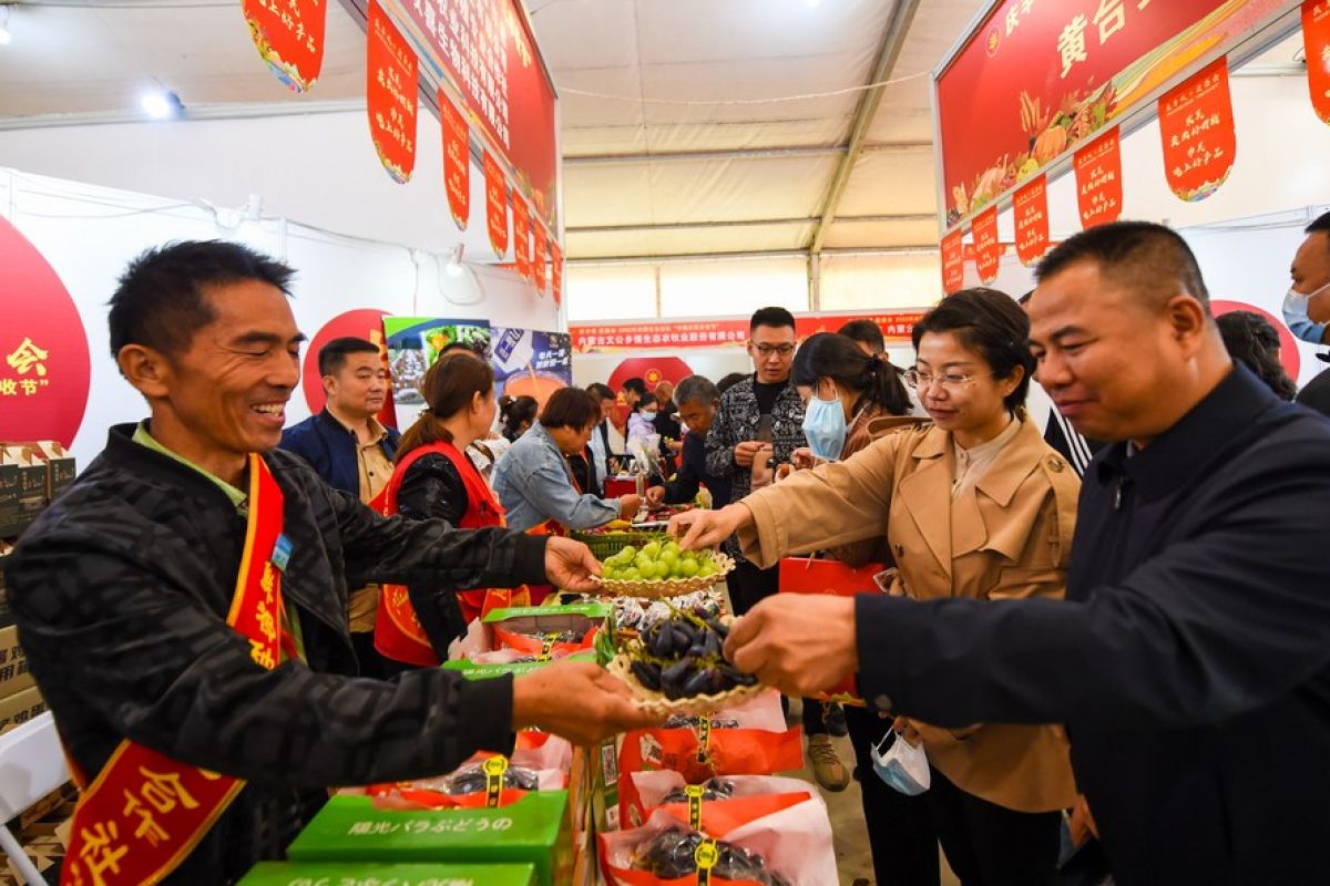 China buka saluran ekspor baru sayuran dan buah-buahan ke Mongolia