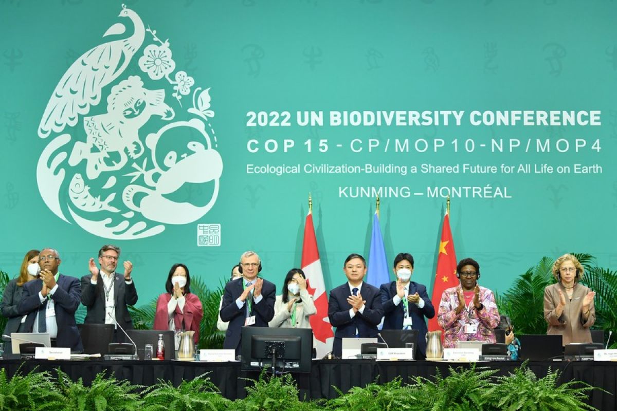 China facilitates implementation of UN biodiversity agreement