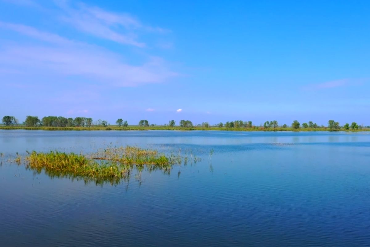 Danau Xiase "hidup" kembali usai restorasi lingkungan