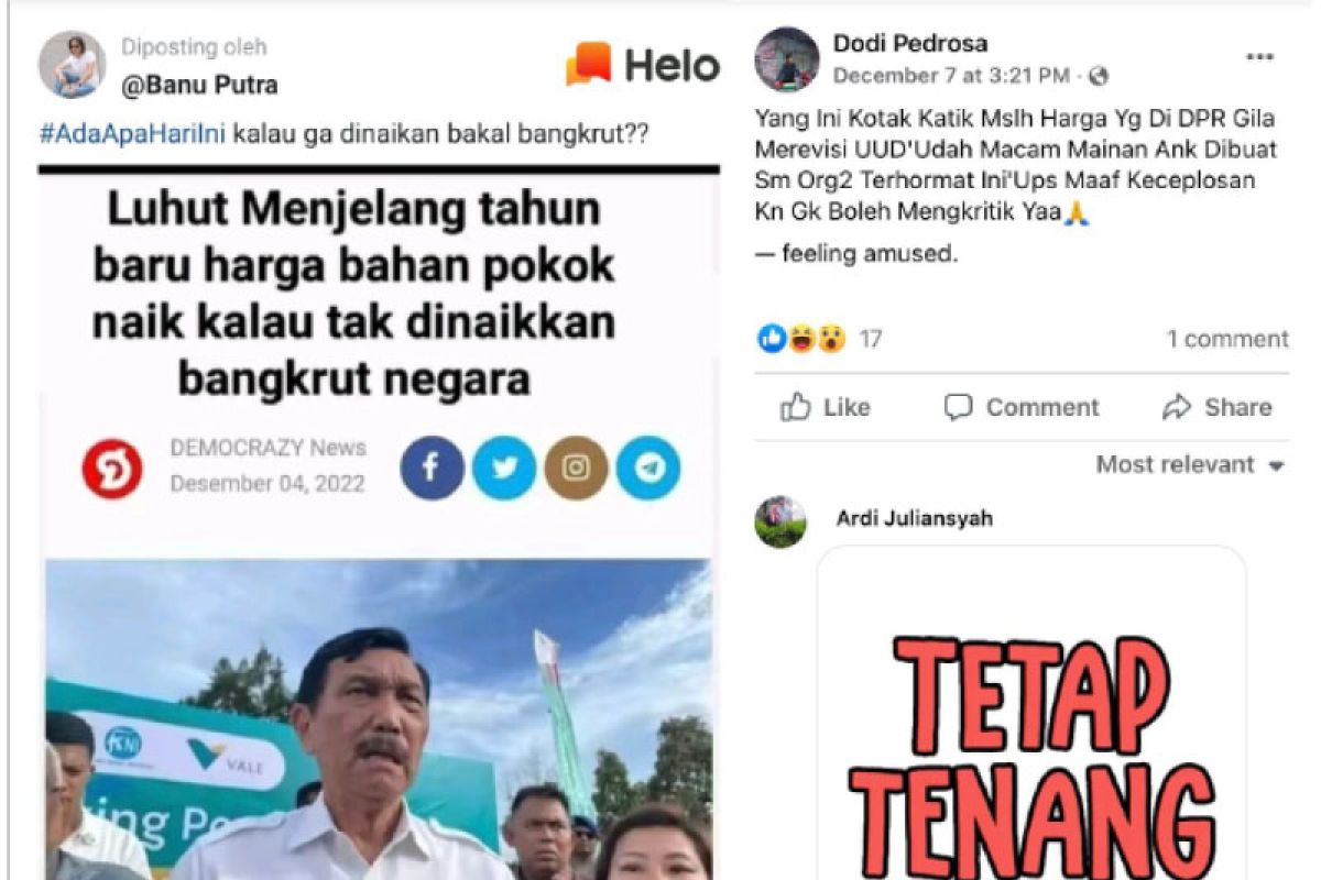 Hoaks! Luhut sebut bahan pokok akan naik, kalau tidak negara bangkrut