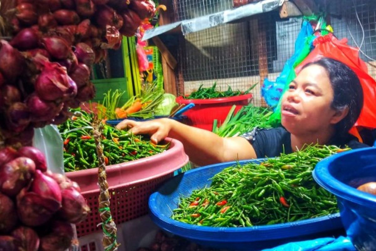 Di Pasar Sibolga Nauli cabe rawit tembus Rp70.000 per kilogram.