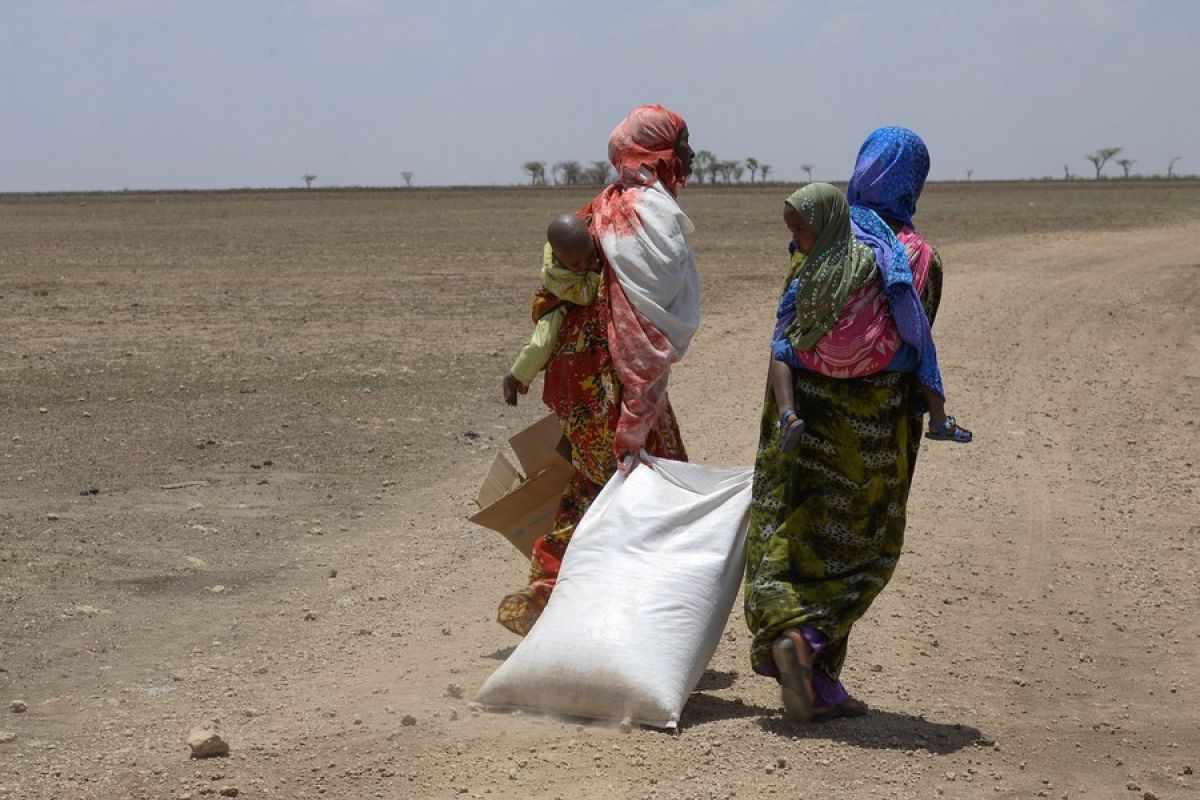 Konflik dan kekeringan dorong peningkatan kerawanan pangan di Ethiopia