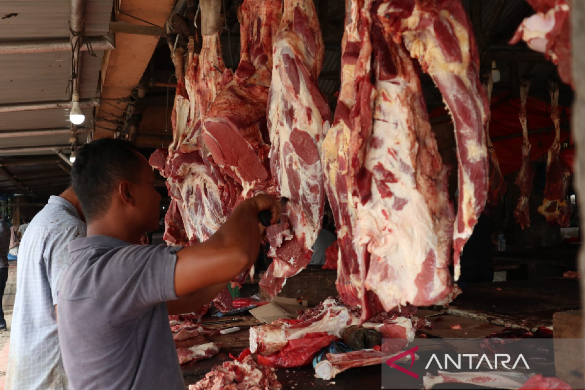 Harga daging sapi di Aceh Besar masih stabil jelang natal dan tahun baru