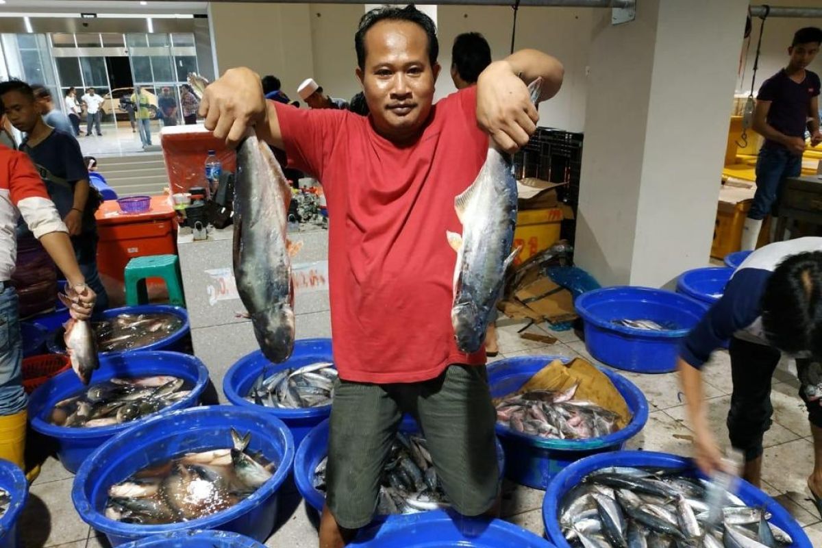 PT Perikanan Indonesia pastikan stok ikan aman hadapi Natal dan Tahun Baru