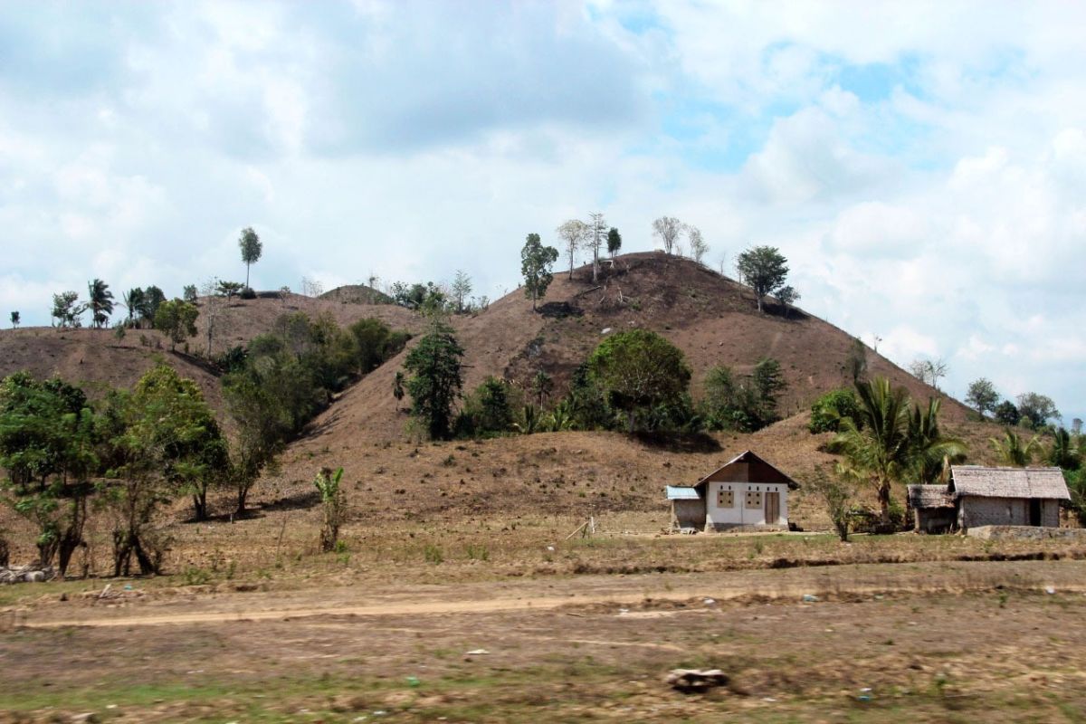 Bupati Boalemo: Alih fungsi lahan jadi penyebab parahnya banjir