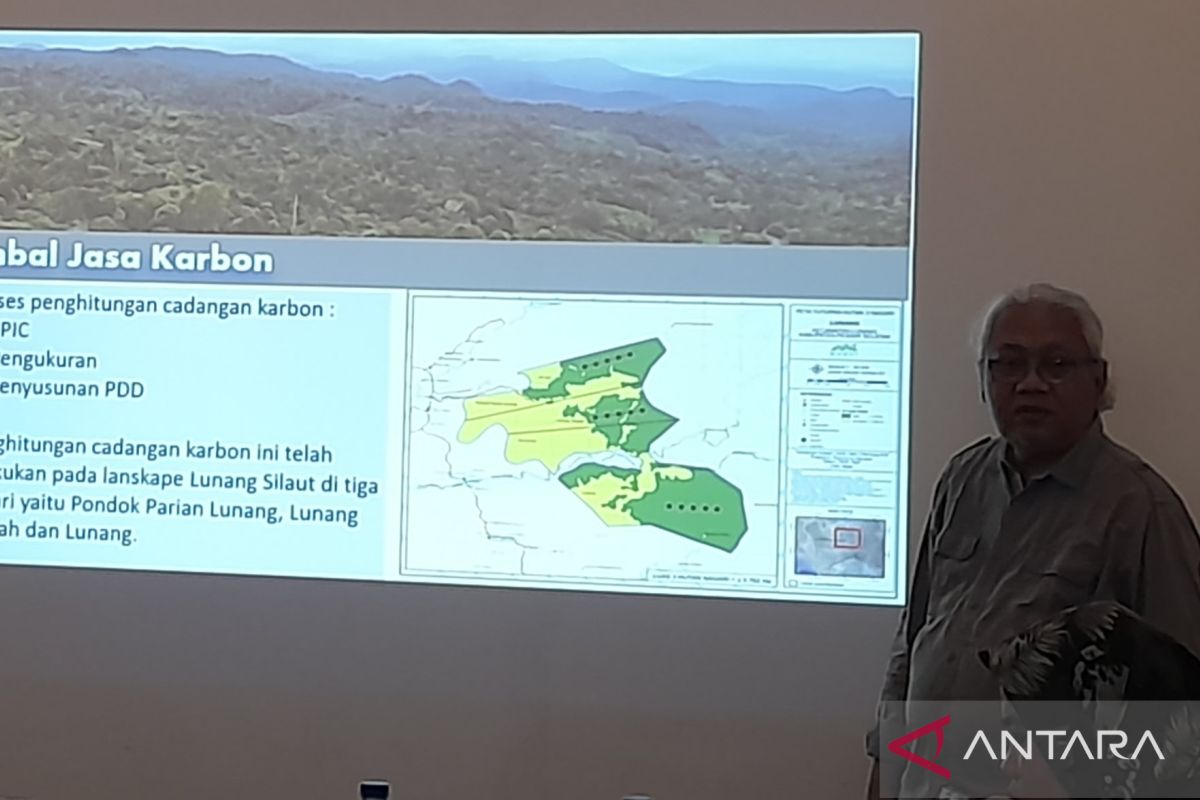 KKI Warsi: tutupan hutan Sumbar mengalami penurunan, meski tidak signifikan