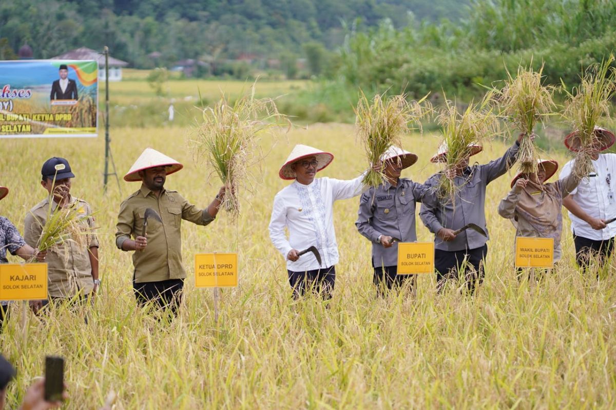 Solok Selatan bantu petani padi organik benih dan pupuk