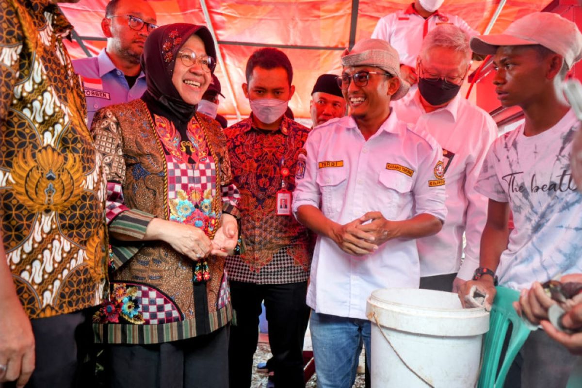 Warga Kalibaru olah bata hebel dari limbah cangkang kerang