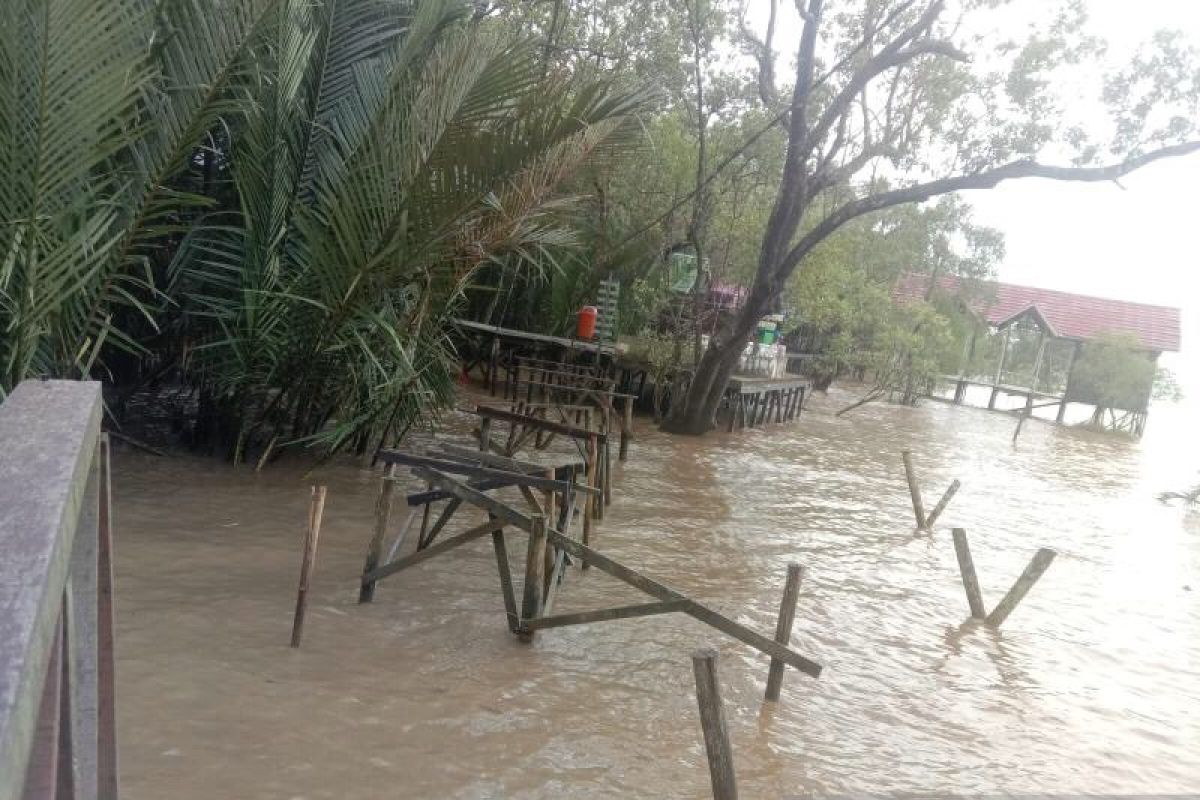 Fasilitas di Ekowisata Mangrove Teluk Berdiri Sungai Kupah rusak diterjang ombak