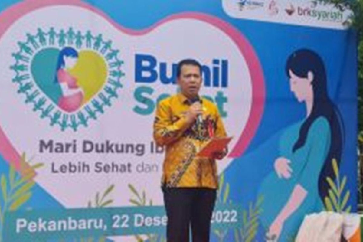 Pemrov Riau berupaya tekan angka kematian ibu hamil melahirkan melalui Gerakan Bumil Sehat