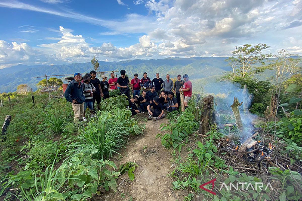 Polda Metro Jaya gerebek 11 hektare ladang ganja di Sumatera Utara