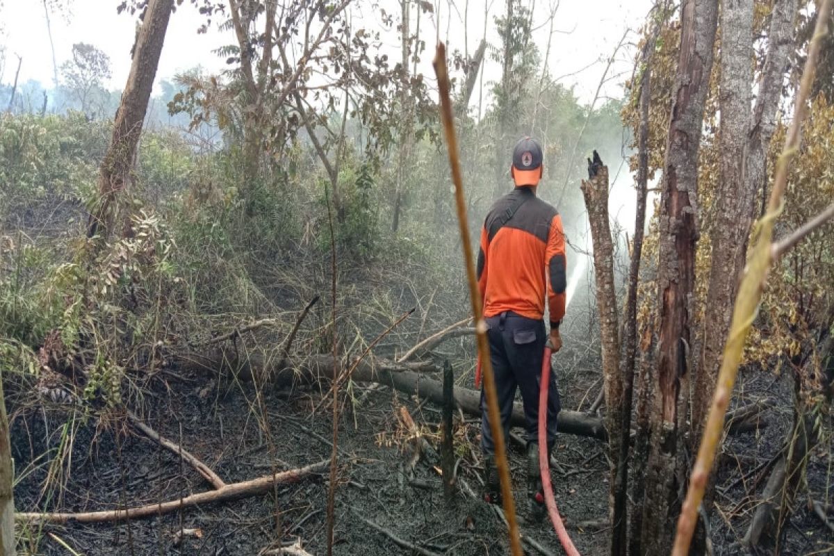 BPBD Kobar padamkan tiga kebakaran lahan di Arut Selatan