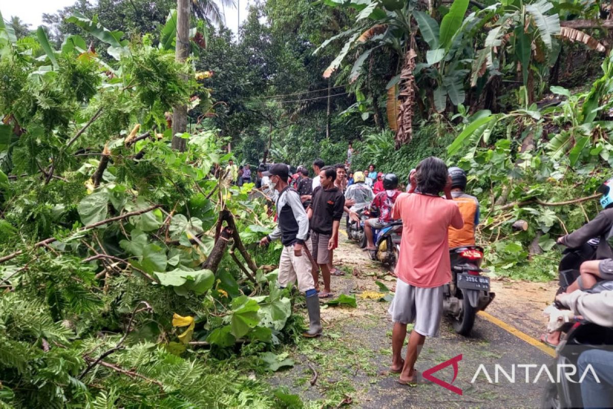 Pohon tumbang akibat angin kencang tutupi jalan nasional di Sukabumi