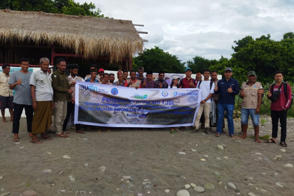 Pelindo Labuan Bajo bantu dana Rp100 juta untuk konservasi penyu