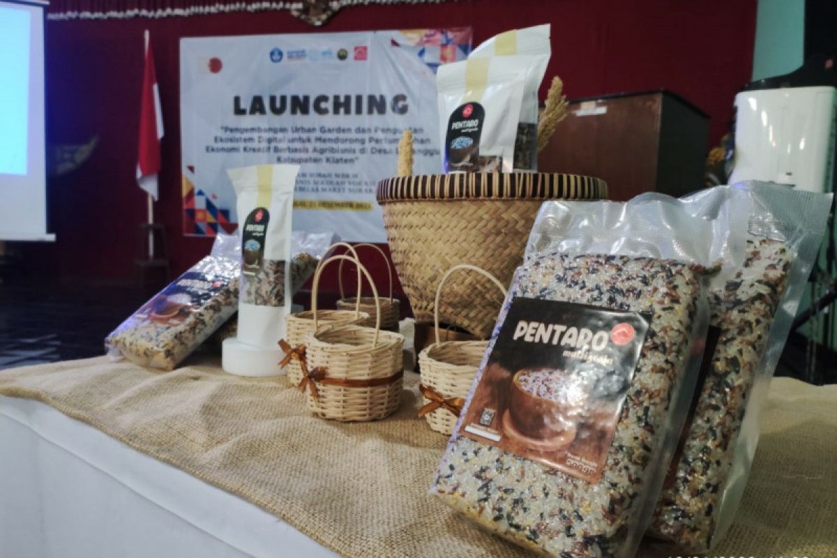 Sekolah Vokasi UNS luncurkan produk multigrain Rojolele di Klaten