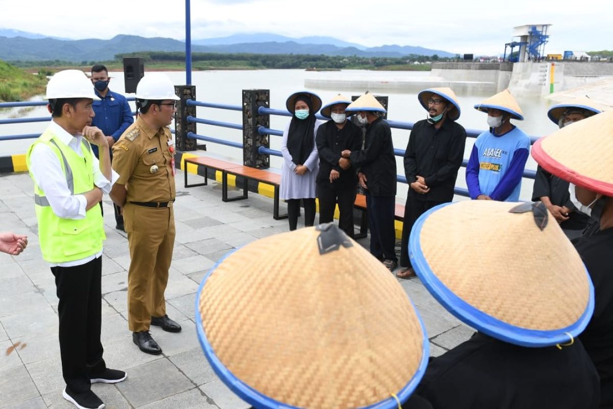 Presiden Jokowi tampung curahan hati petani soal regenerasi