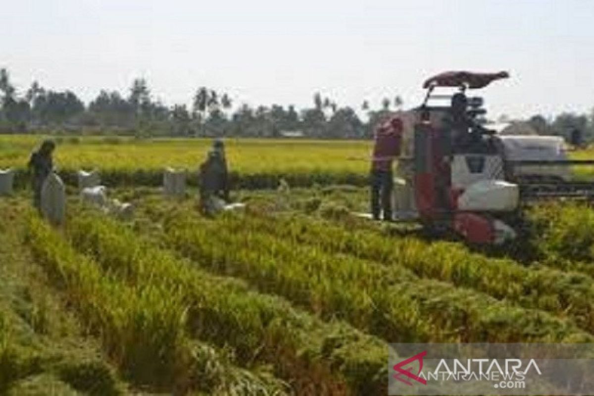 Wali Kota Baubau beri bantuan alat pertanian pada 194 kelompok tani
