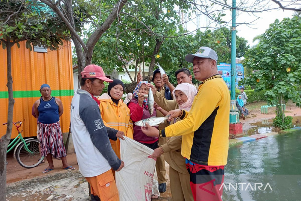 Cuaca dapat rintangi budidaya ikan bandeng di Pulau Untung Jawa