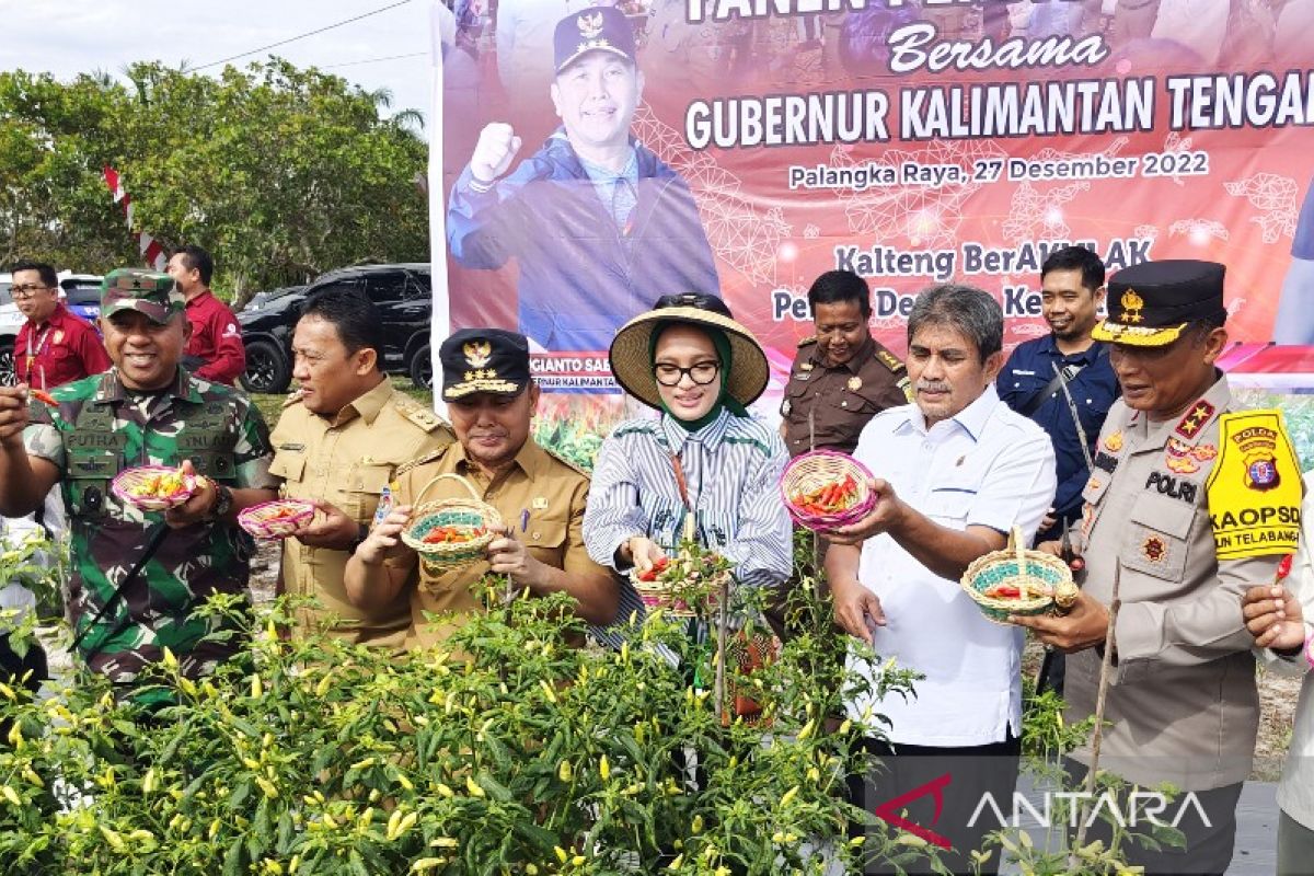 Gubernur ajak masyarakat manfaatkan lahan tingkatkan ketahanan pangan