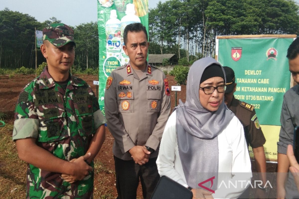 Pemkab Batang pastikan kebutuhan pangan aman hingga Tahun Baru