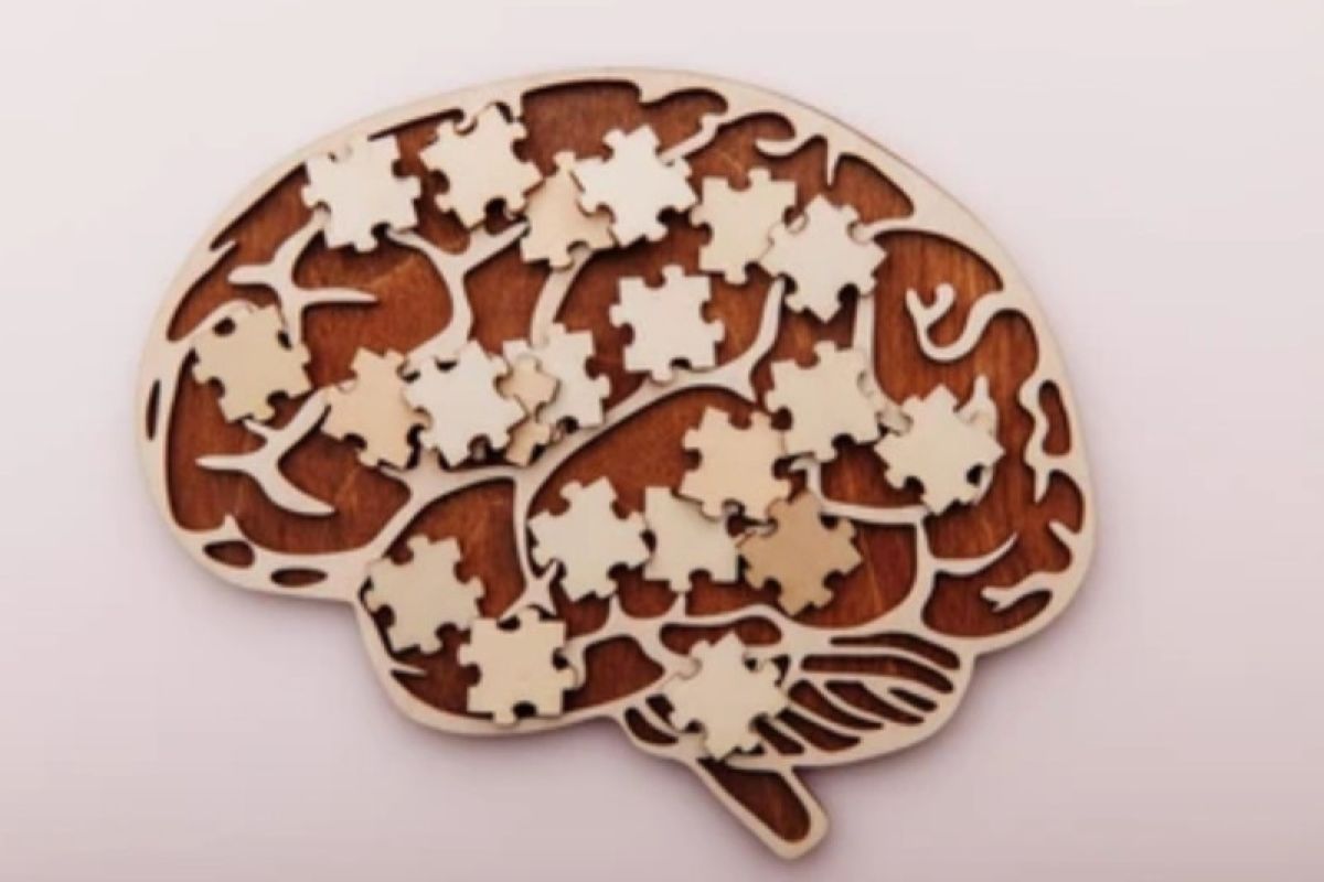 Ilmuwan identifikasi protein di otak untuk pengobatan skizofrenia