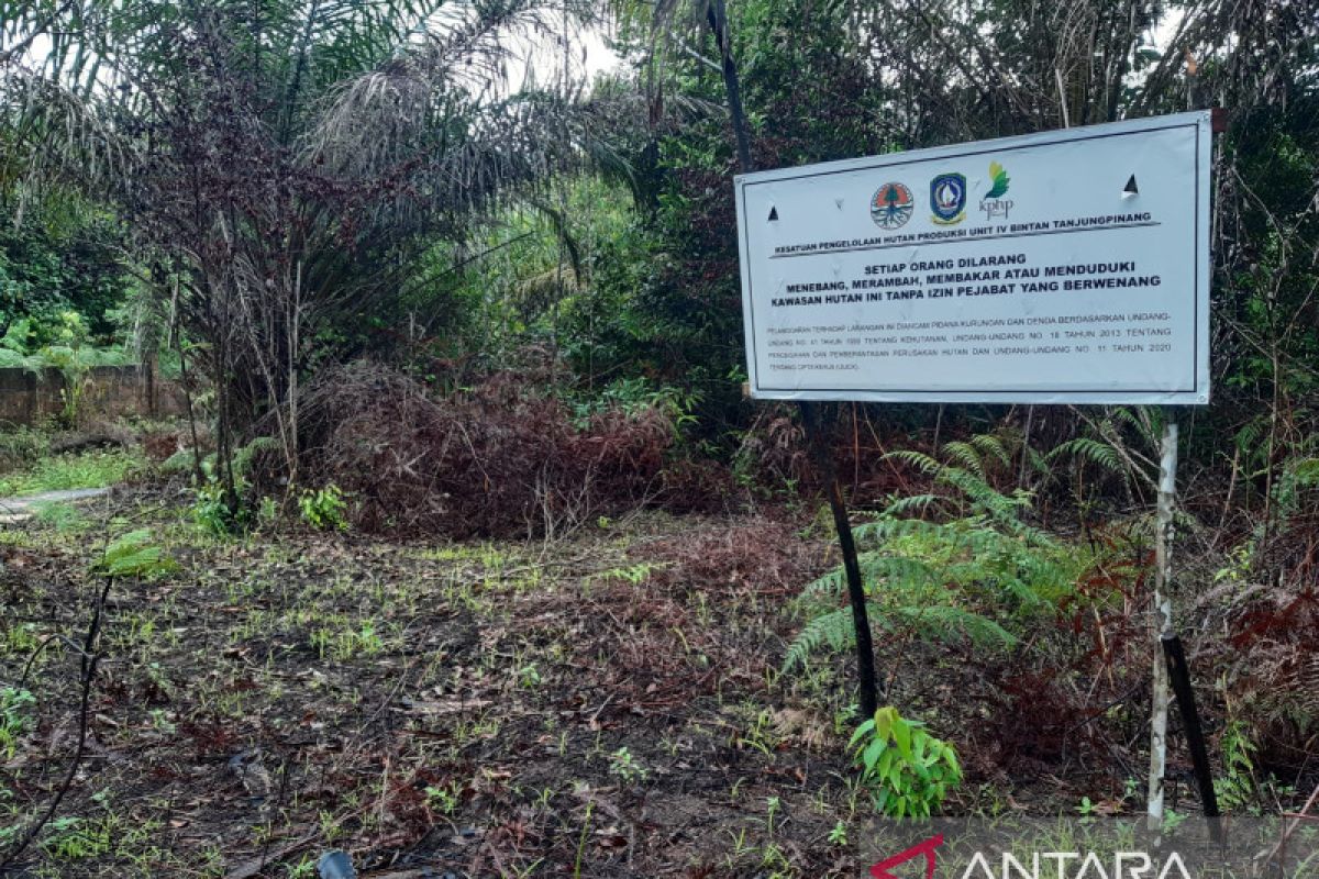 DLH Kepri ingatkan perusahaan di hutan produksi dapat dipidana