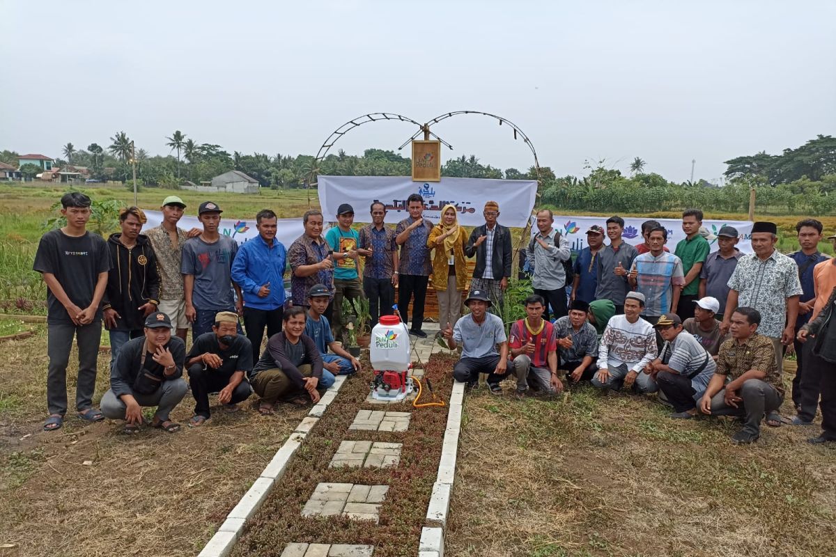 PLN UID Banten Adakan Program Pengembangan Pertanian Millenial Untuk Santri dan Petani Muda