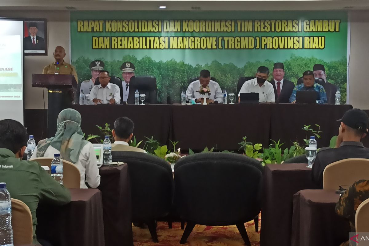 BRGM targetkan 2800 rehabilitasi mangrove di Riau pada 2023