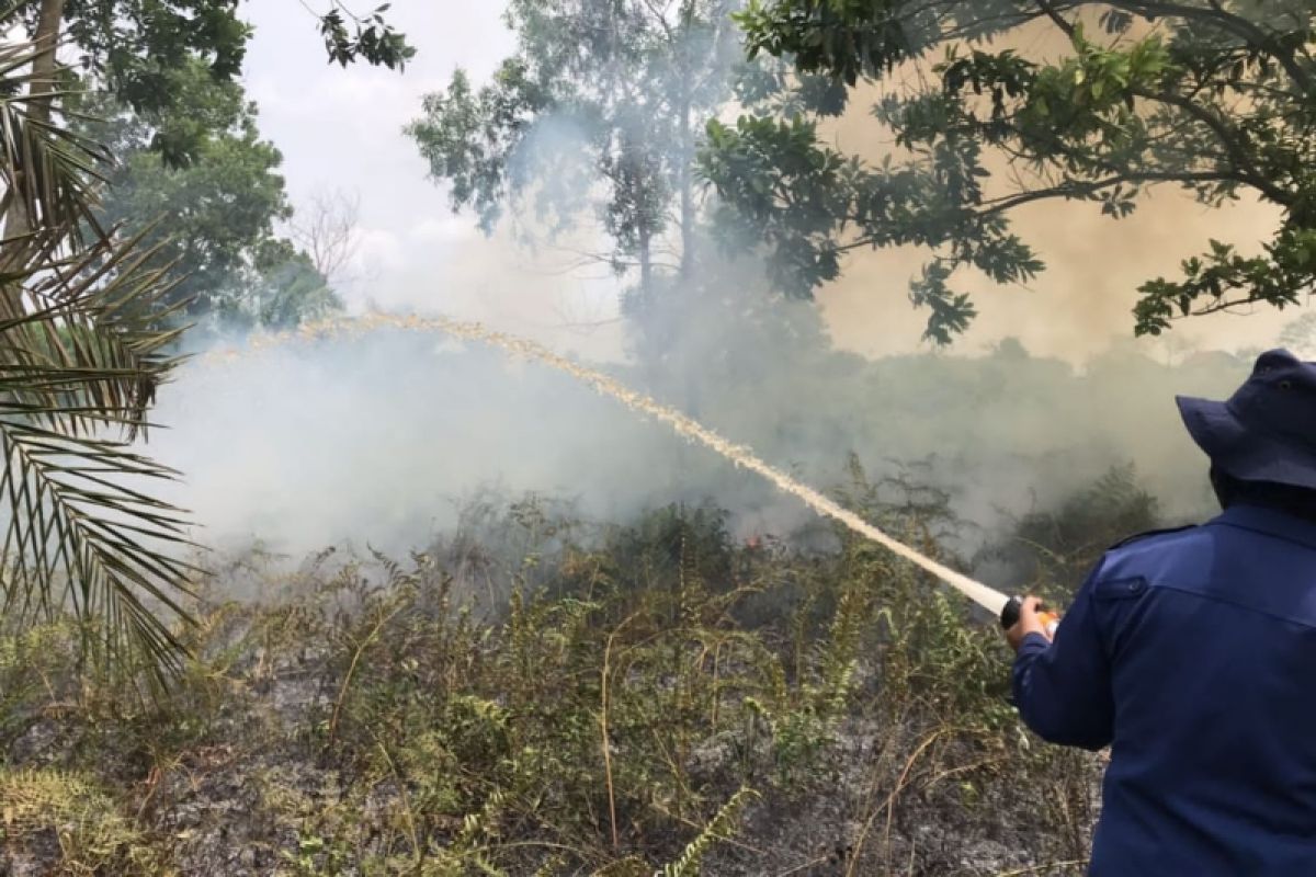 Dua kebakaran lahan dalam sehari terjadi di Sampit