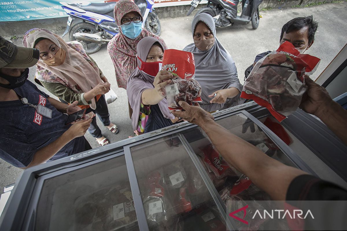 Dharma Jaya jajaki kerja sama pengadaan ikan dengan BUMD Maluku