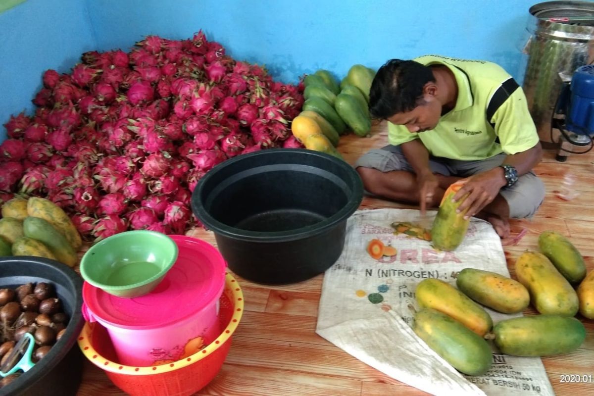 PLN dorong UMKM Papua naik kelas lewat bantuan program TJSL