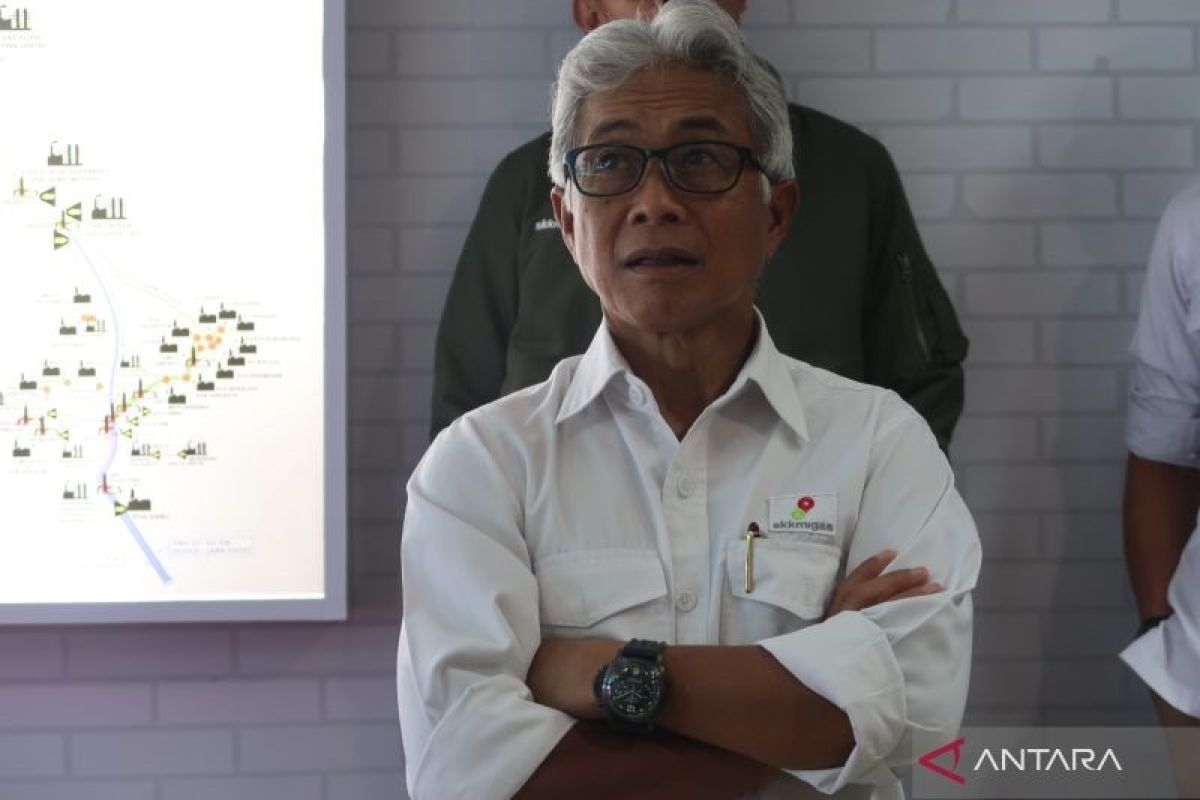 SKK Migas dorong pengeboran 90 sumur di Sumatera bagian selatan