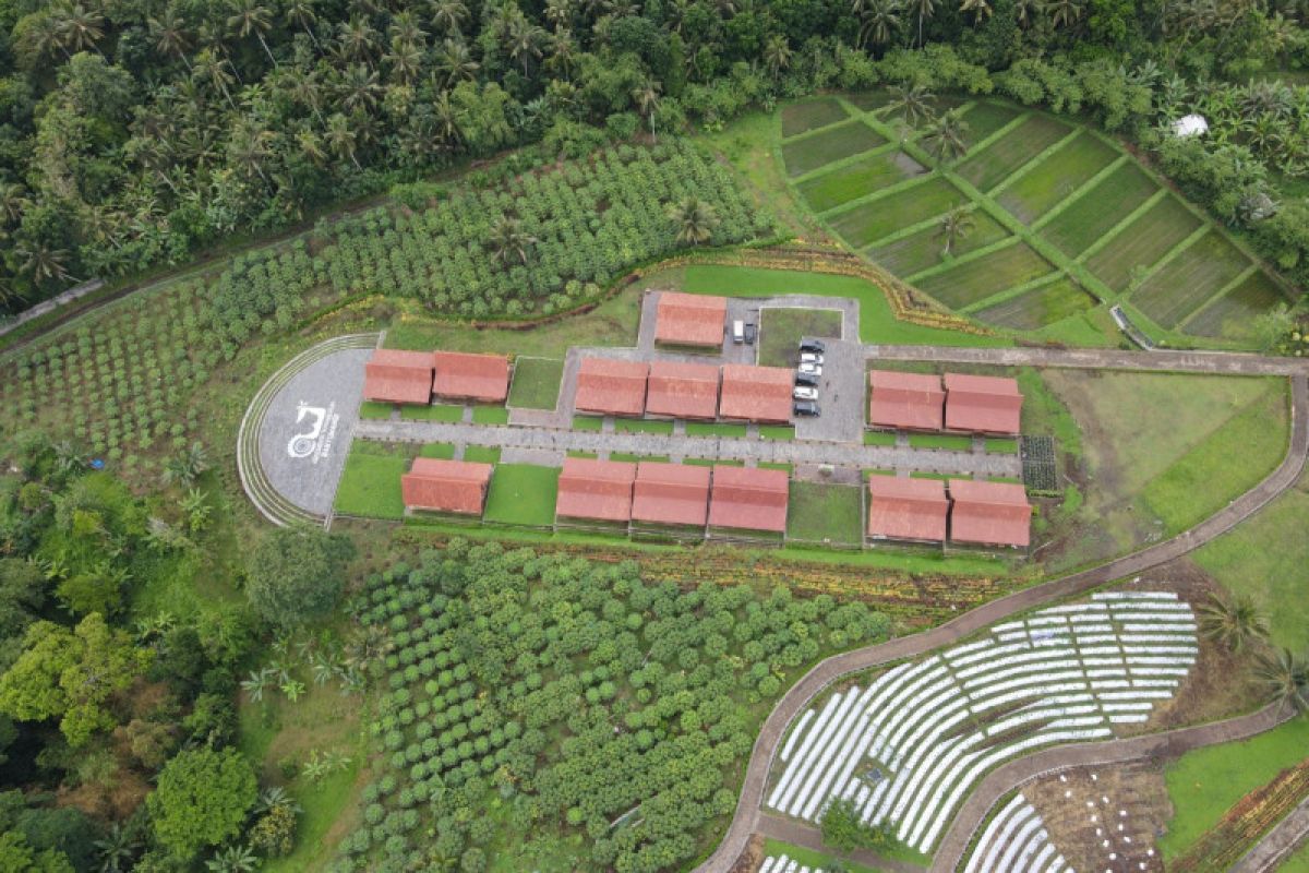 Agro Wisata Tamansuruh jadi daya tarik destinasi baru di Banyuwangi