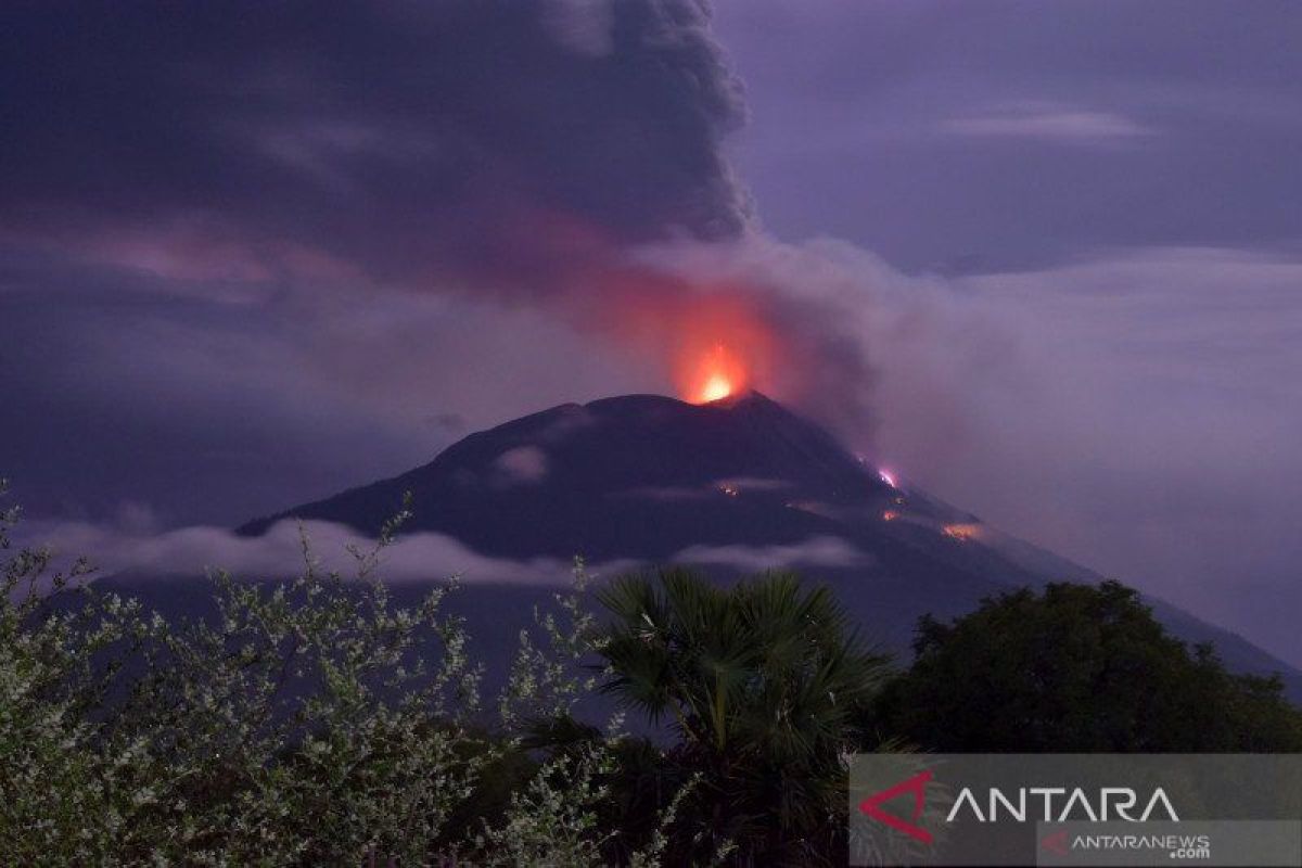 60 kali erupsi terjadi di puncak gunung Ile Lewotolok