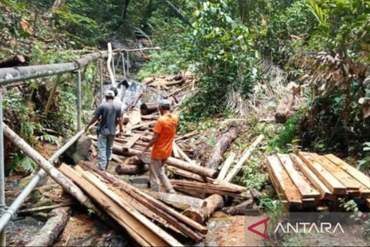 Polisi kehutanan buru pelaku pembalakan liar di Gunung Lengkuas Bintan
