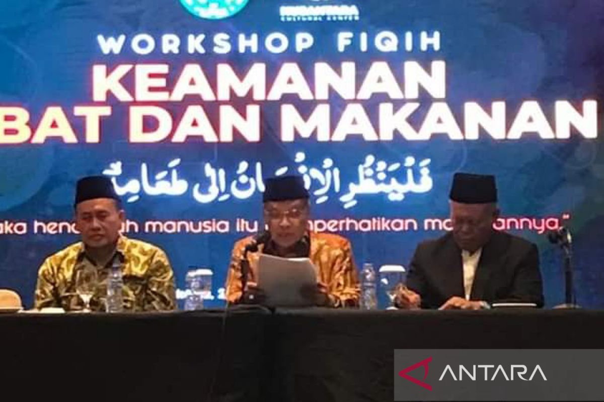 LPOI akan bentuk lembaga keamanan konsumen dan pengawasan obat-makanan