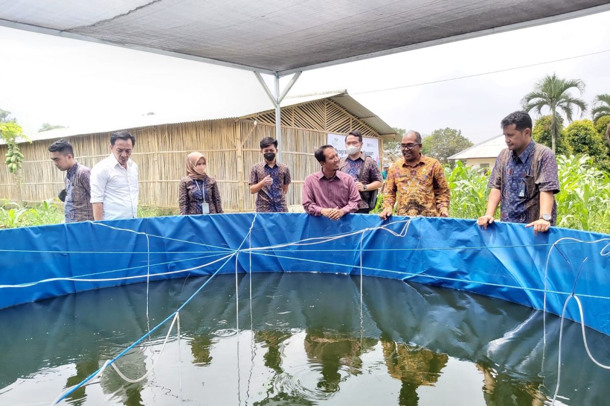 PLN UID Banten dorong petani dan peternak melalui program Agriculture On Farm di sejumlah daerah di Banten