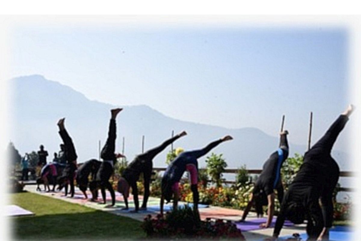 Yoga's Kashmir Connection: Time for Revitalisation